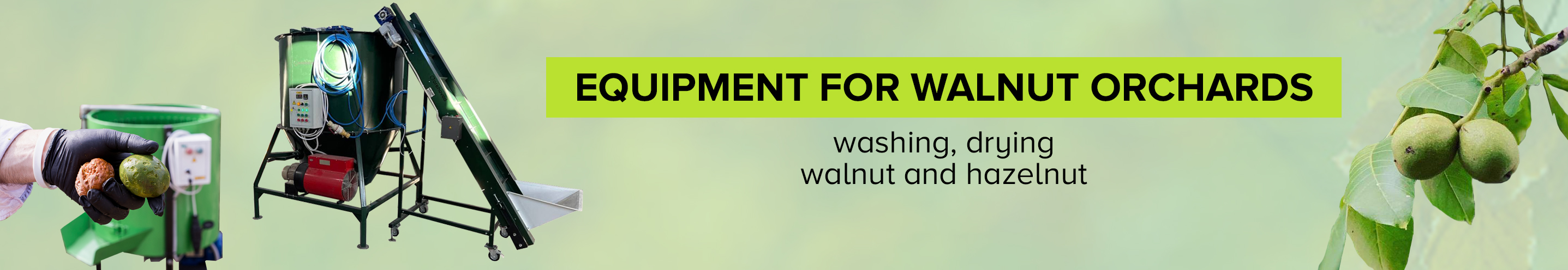 Equipment for walnut orchards for washing and drying walnuts