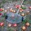Рол-плодозбірник для збору яблук - 2