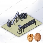 Industrial line for processing walnuts (200 kg/h)