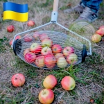Рол для збору яблук