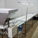 Inspection Table for Sorting Berries, Vegetables, and Fruits