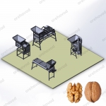 Industrial line for processing walnuts (50 kg/h)